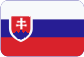 TS Plzeň a.s. Slovensky